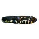Snake board skateboards