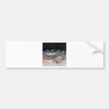 Snake Bumper Sticker