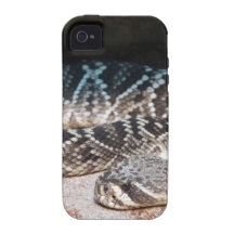 Snake Case-Mate iPhone 4 Cases
