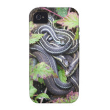 Snake Family iPhone 4 Cover