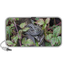 Snake Family iPod Speakers