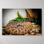 Snake Framed Print