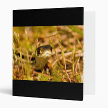 Snake in the Grass Binder