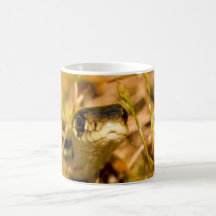 Snake in the Grass Coffee Mugs