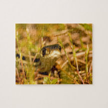 Snake in the Grass Jigsaw Puzzles