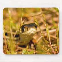 Snake in the Grass Mousepad