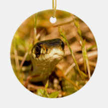 Snake in the Grass Ornament