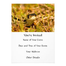 Snake in the Grass Personalized Invite