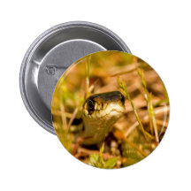 Snake in the Grass Pin