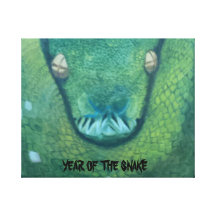 Snake Japanese Year Stretched Canvas Print