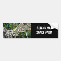 Snake Nest Bumper Sticker