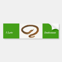 Snake painting bumper stickers