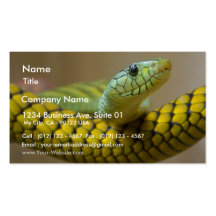 Snake Reptile Business Card Templates