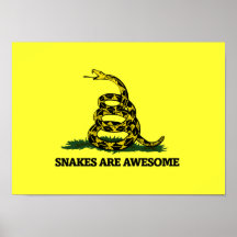 Snakes are Awesome Poster