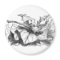 Snap Dragon Fly magnets