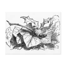 Snap Dragon Fly postcards