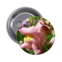 Snapdragon Pink