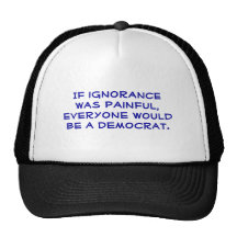 Snarky, pro-Democrat, political humour trucker hat