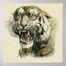 Snarling Tiger Print