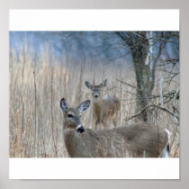 Sneak Attack Deer Print