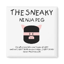 Sneaky Ninja Pig