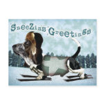 Sneezins Greetings - Christmas postcard