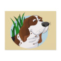 Sniffing Basset Hound Cartoon postcards