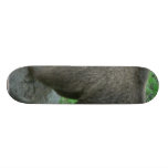 Sniffing Bear Skateboard