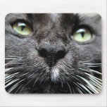 Snookums Mouse Pad