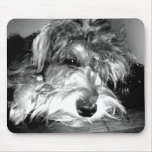 Snoop the Schnauzer Mouse Pad