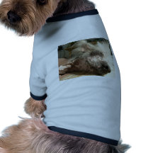 snooze dog t shirt