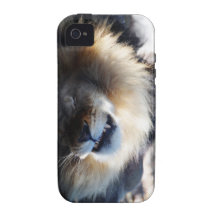 Snoozing Case-Mate iPhone 4 Cases