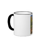 Snoqualmie River Mug
