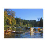 Snoqualmie River Postcard