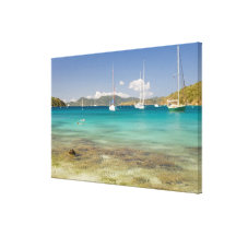 Snorkelers in idyllic Pirates Bight cove, Bight, Stretched Canvas Print