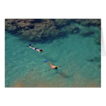 Snorklers 2 greeting cards
