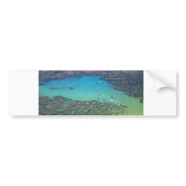 Snorklers at Hanauma Bay, Oahu, Hawaii Bumper Sticker