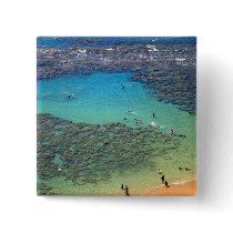 Snorklers at Hanauma Bay, Oahu, Hawaii Pin