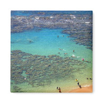 Snorklers at Hanauma Bay, Oahu, Hawaii Magnets