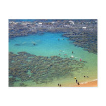 Snorklers at Hanauma Bay, Oahu, Hawaii Post Cards