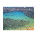 Snorklers at Hanauma Bay, Oahu, Hawaii postcards