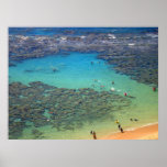 Snorklers at Hanauma Bay, Oahu, Hawaii posters
