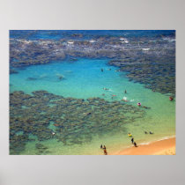 Snorklers at Hanauma Bay, Oahu, Hawaii Print
