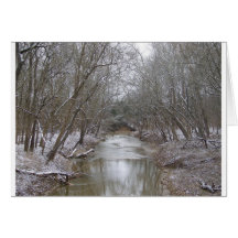 snow2010 031 greeting card