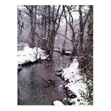 Snow along the River Post Cards