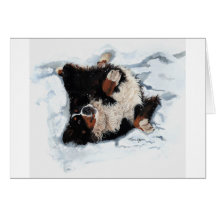 Snow Angel Cards