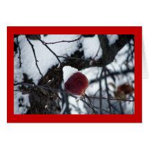 Snow Apple Greeting Cards