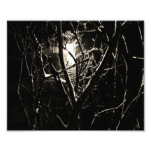 Snow at Night Photo Print