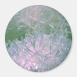 Snow balls fridge magnets