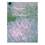 Snow balls postcards